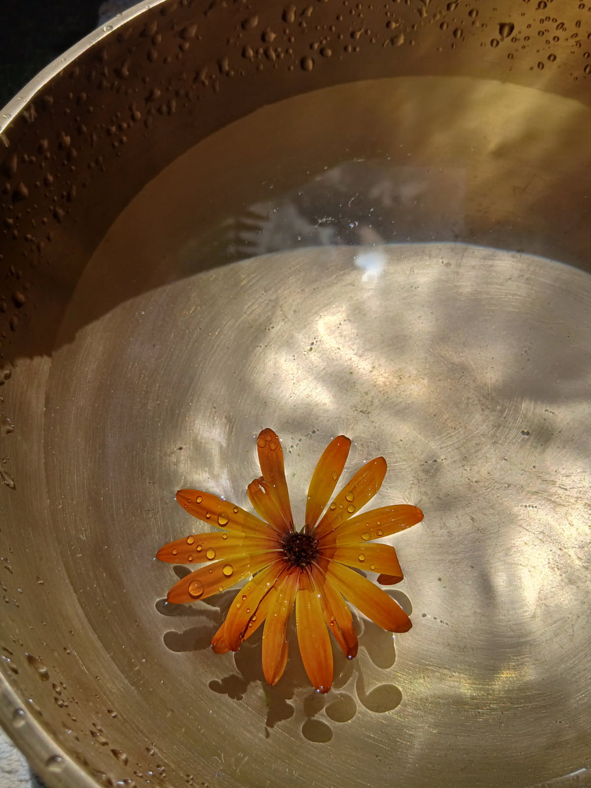 Séance de méditation et bien-être avec bols tibétains dans la nature à Thonon, Sciez